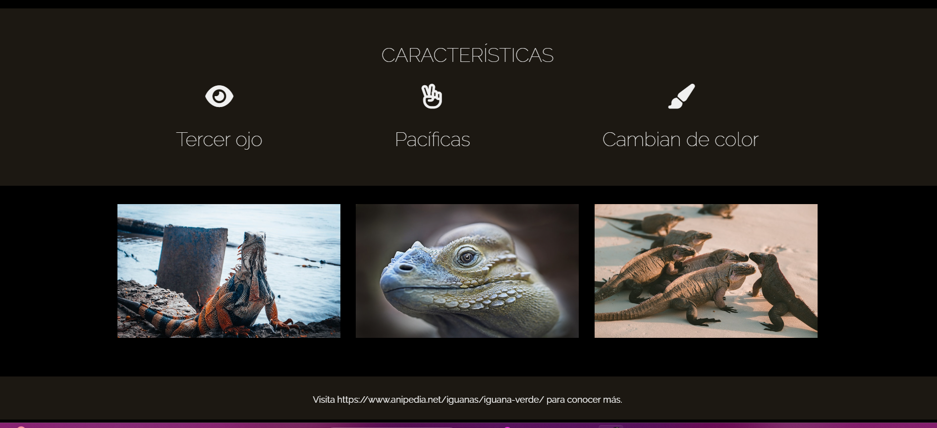 captura de pantalla de pagina con iguanas